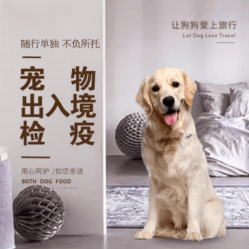 吉林省宠物托运到哥伦比亚猫狗宠物入境规定和