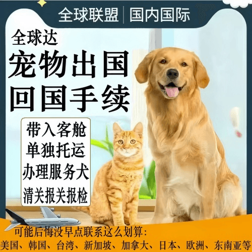 吉林省宠物托运到柬埔寨宠物入境规定和要求