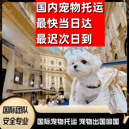 吉林省到澳大利亚（澳洲）宠物入境规定和要求
